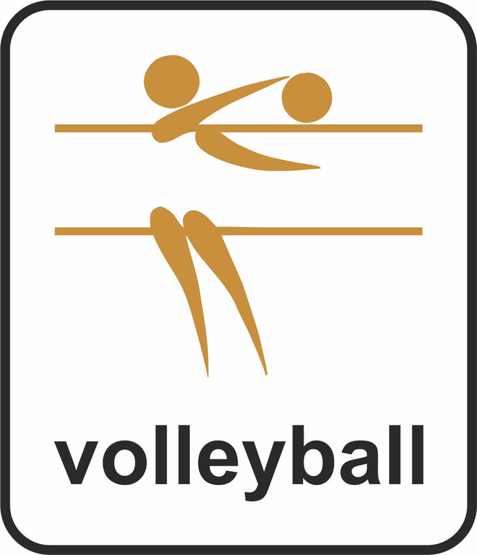 Wodson Park Volleyball