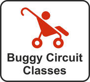 Buggy Circuit Classes